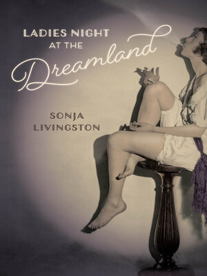 cover image of Ladies Night at the Dreamland
